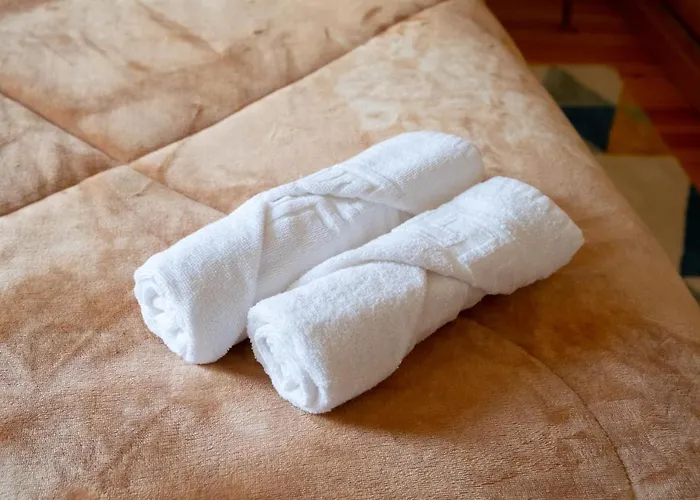 Casa Do Vasco Διαμέρισμα *